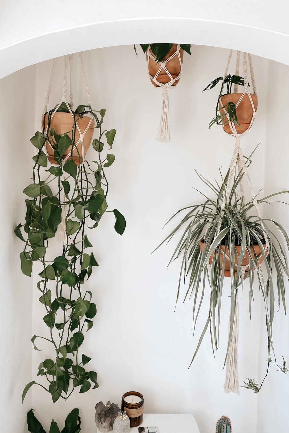 Serene bathroom with hanging plants and terracotta accents