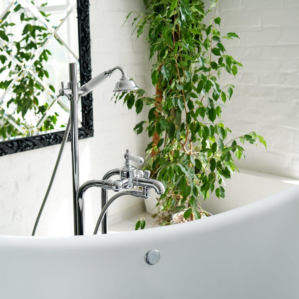 Bathroom oasis featuring a freestanding bathtub and hanging plants