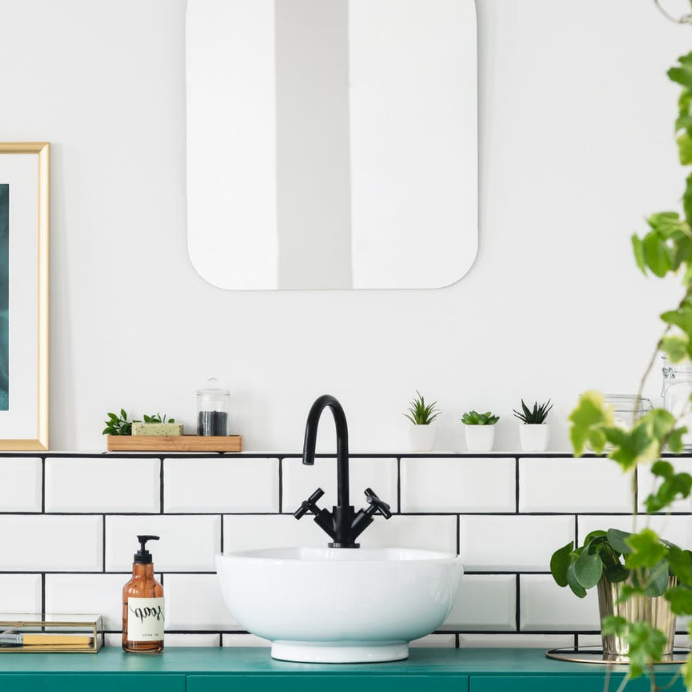 Baño contemporáneo con plantas decorativas y frescas