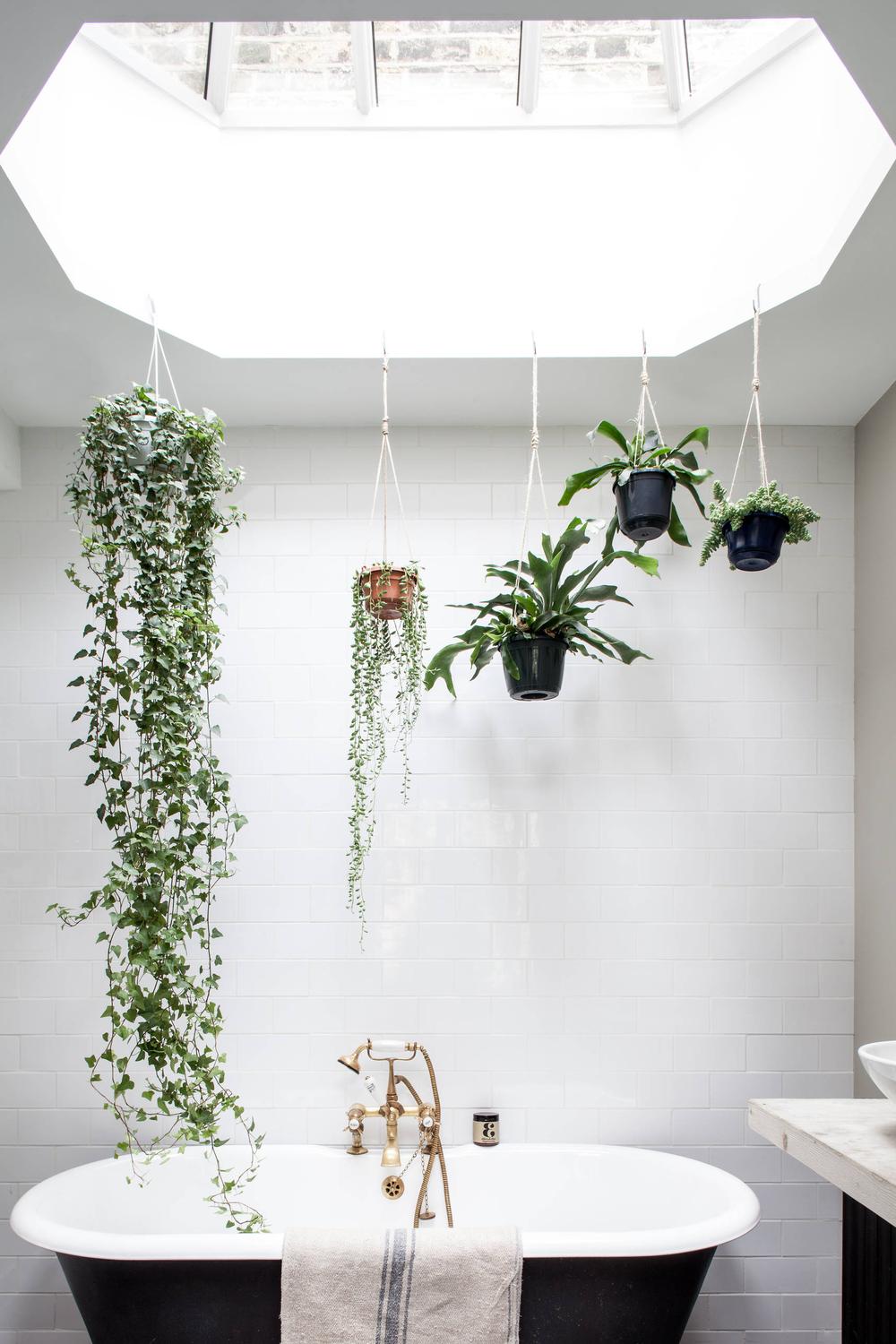 Baño exquisito con apariencia relajante y verde
