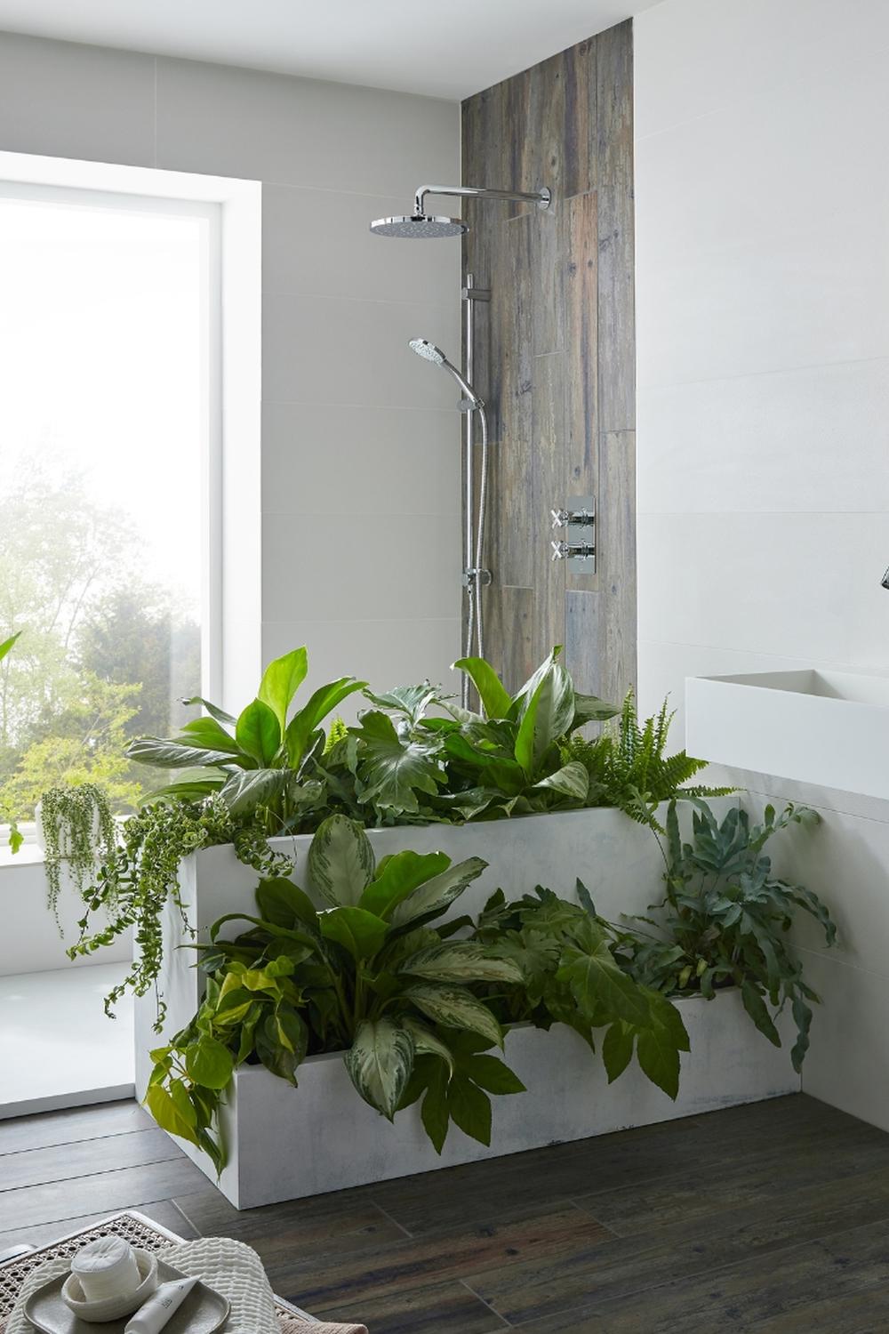16 Inspiring Bathroom with Plants Ideas to Refresh Your Space