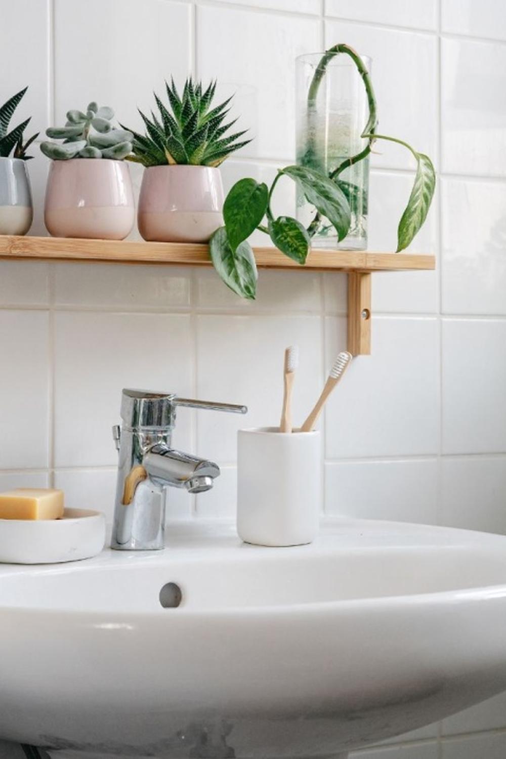 Bathroom with stylish shelving and potted succulents