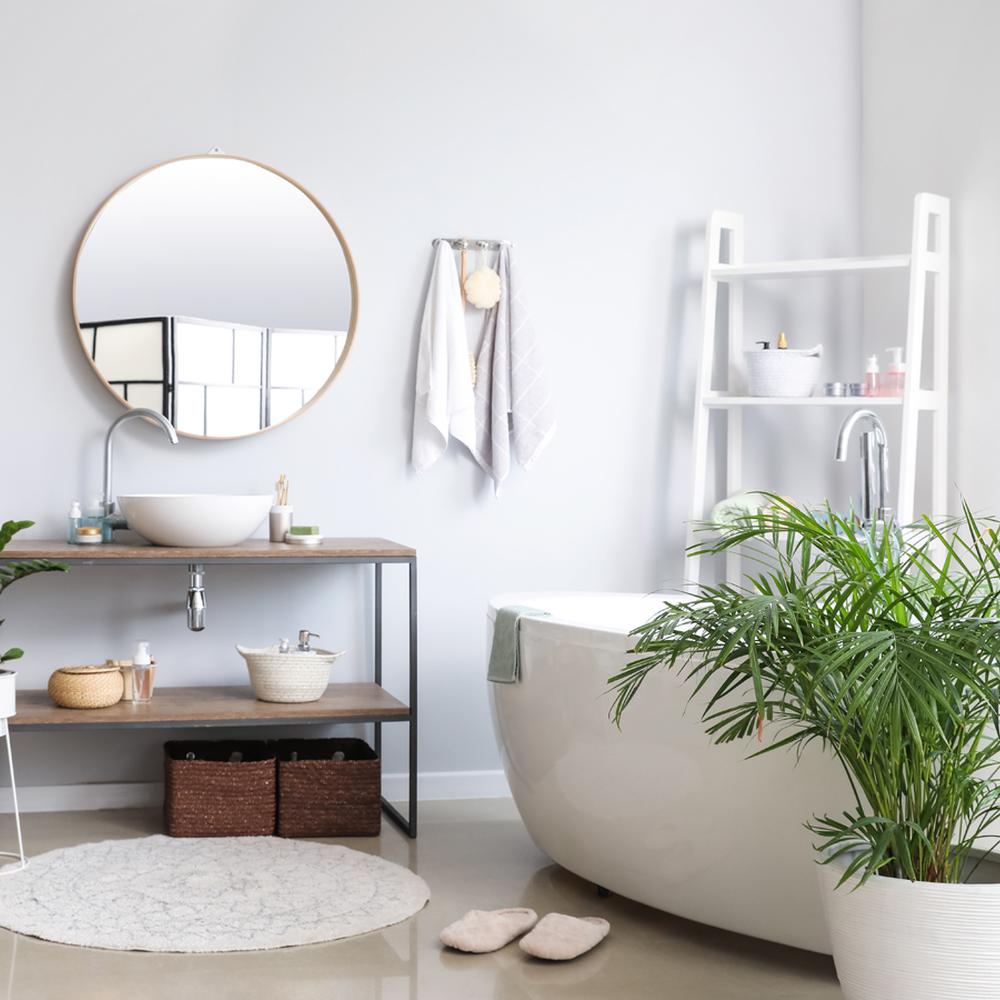 Stylish gray bathroom with plants