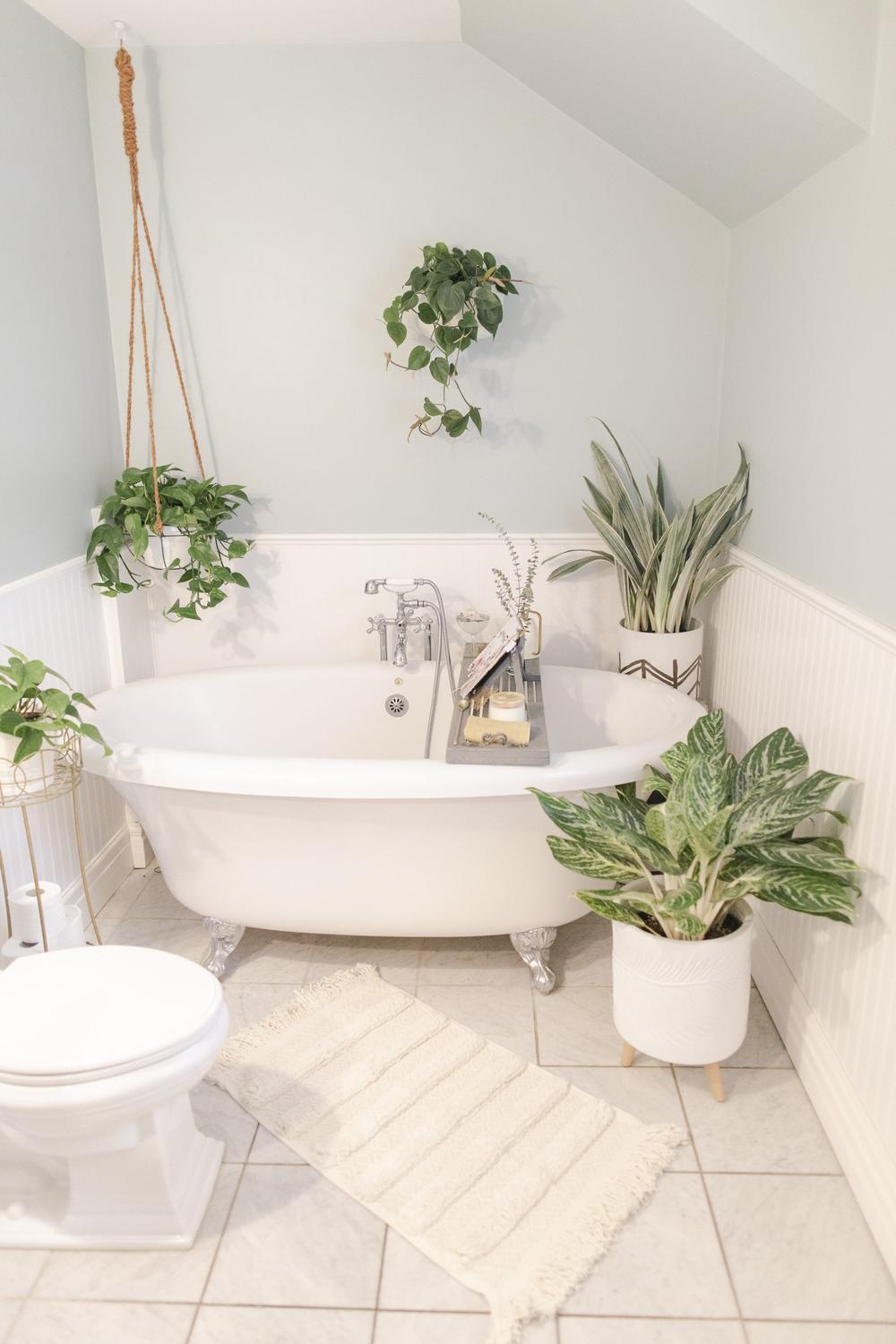Classic clawfoot tub surrounded by hanging plants