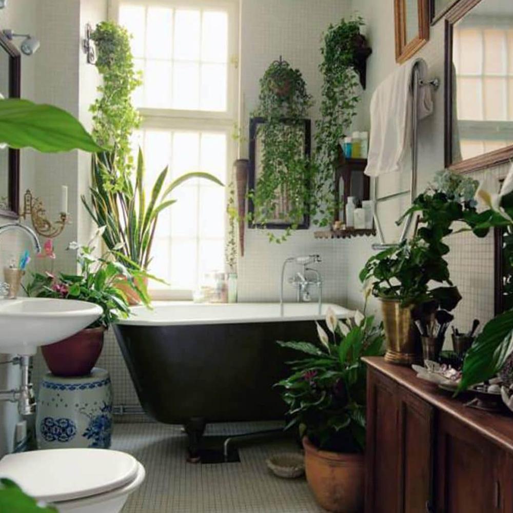 Vintage-style bathroom with plants
