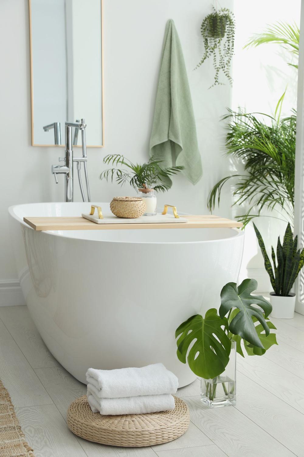 Contemporary bathroom design with plants