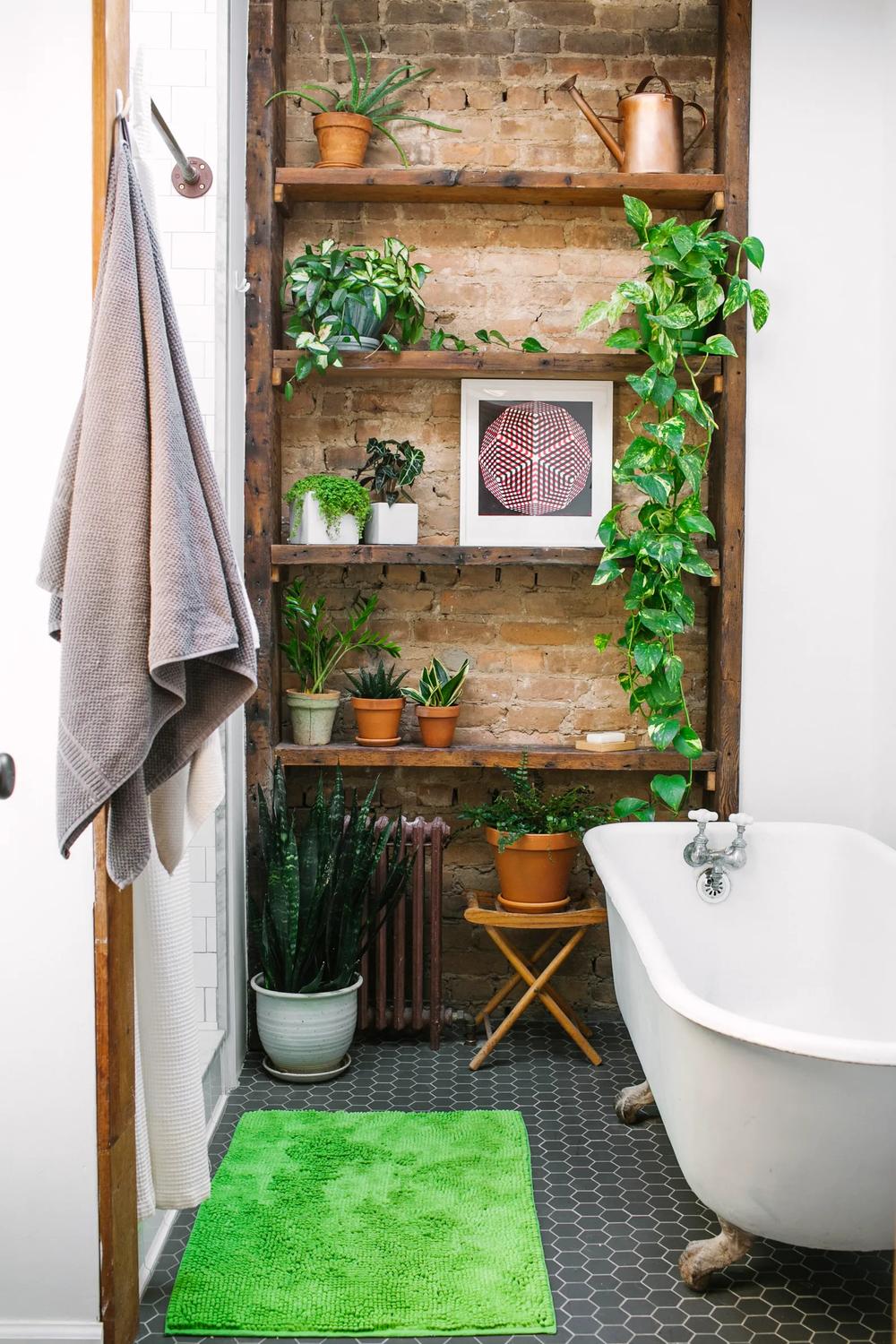 Urban bathroom with nature-inspired decor