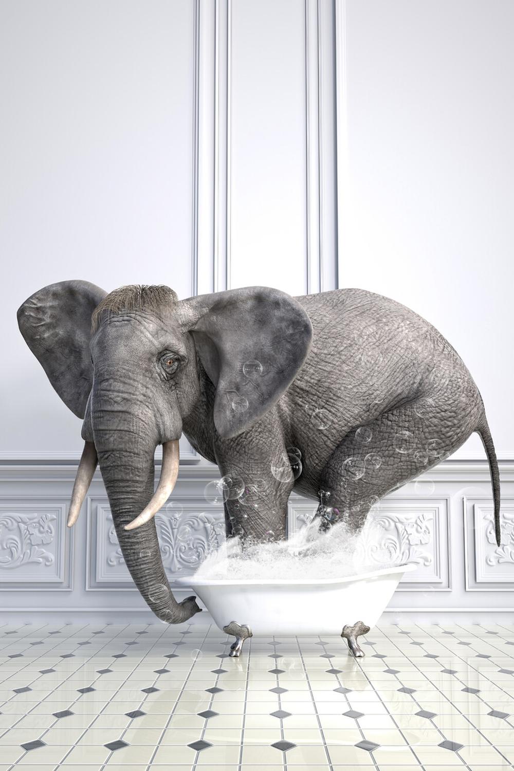 An elephant humorously depicted in a bathtub surrounded by bubbles.