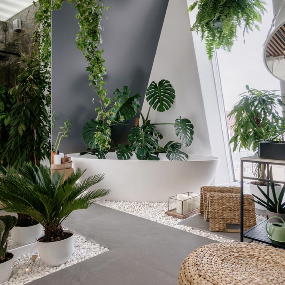 Baño moderno con plantas colgantes y frescura natural