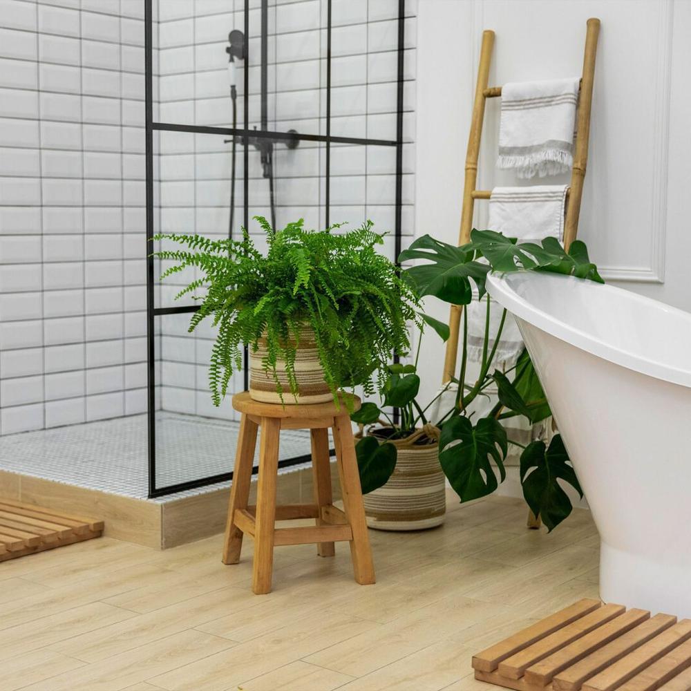 Diseño de baño luminoso y minimalista